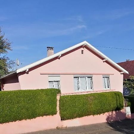 Superbe Maison 3 Chambres 1 Etage Et Sous-Sol, Avec Jardin Et Terrasse Altkirch Dış mekan fotoğraf