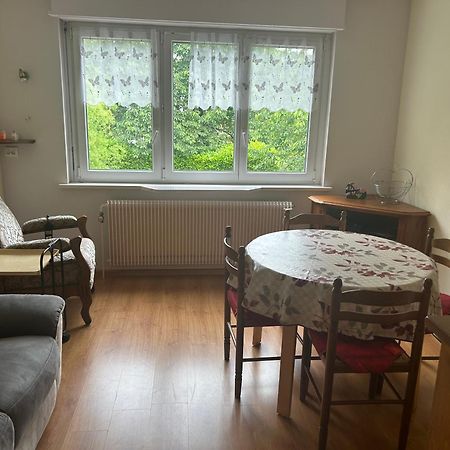 Superbe Maison 3 Chambres 1 Etage Et Sous-Sol, Avec Jardin Et Terrasse Altkirch Dış mekan fotoğraf