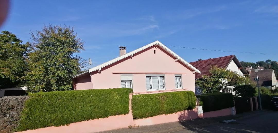Superbe Maison 3 Chambres 1 Etage Et Sous-Sol, Avec Jardin Et Terrasse Altkirch Dış mekan fotoğraf