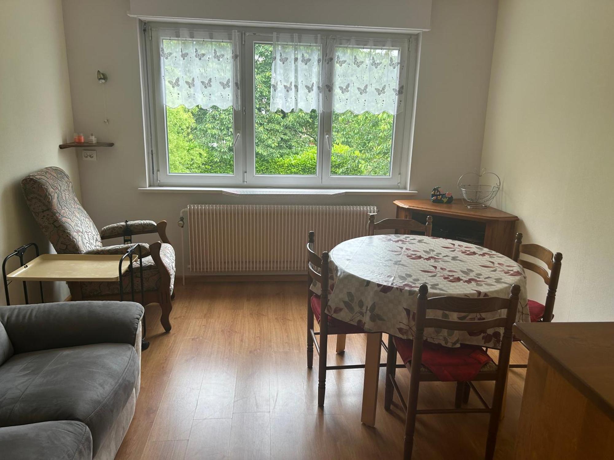 Superbe Maison 3 Chambres 1 Etage Et Sous-Sol, Avec Jardin Et Terrasse Altkirch Dış mekan fotoğraf